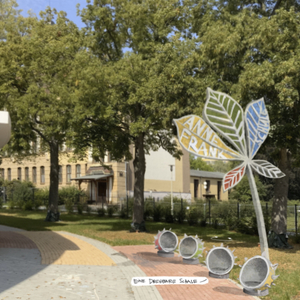 Zwickau, Wettbewerb zur Anna- Frank- Schule